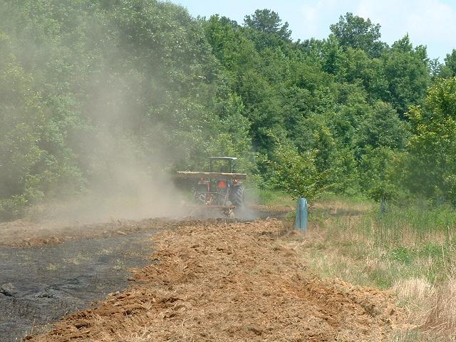 Plowing a Food Plot