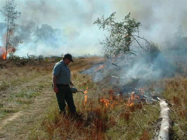 Ranger with a Drip Torch