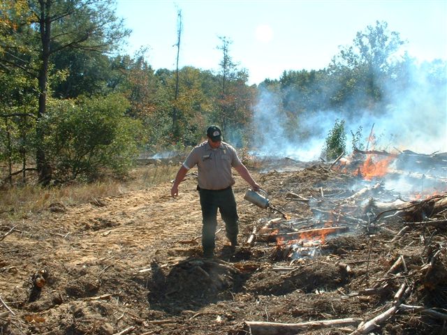 Ranger with Drip Torch